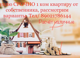 Недвижимость